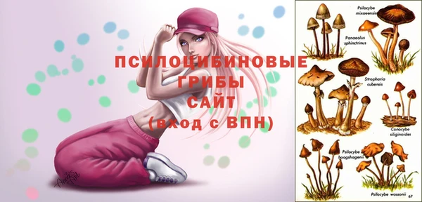 твердый Нея
